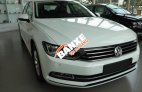 Cần bán xe Volkswagen Passat CC đời 2016, màu trắng, nhập khẩu