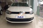 Bán Volkswagen Polo 5MT đời 2015, màu trắng, nhập khẩu chính hãng, giá 729tr