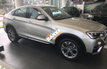 Bán xe BMW X4 xDrive20i 2017, màu bạc, nhập khẩu chính hãng, có xe giao sớm, nhiều màu